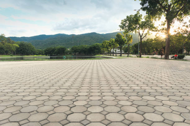 Best Driveway Pavers Near Me  in Joseph City, AZ