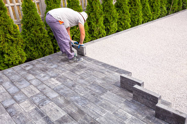 Best Local Driveway Pavers  in Joseph City, AZ